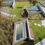 The Arbutus Club Enhancements - Green Roof The Arbutus Club Enhancements - Green Roof